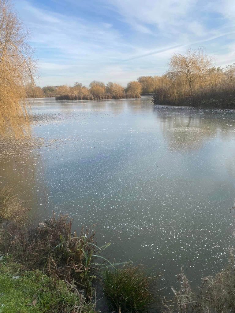 Sykehouse Fishery