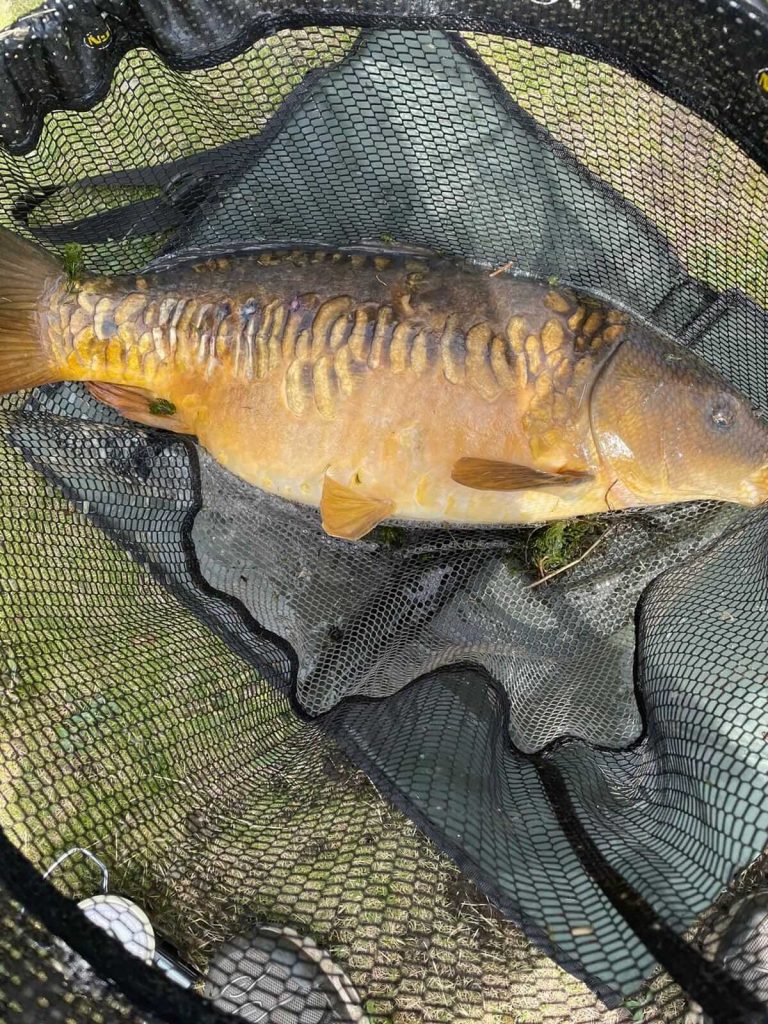 Sykehouse Fishery